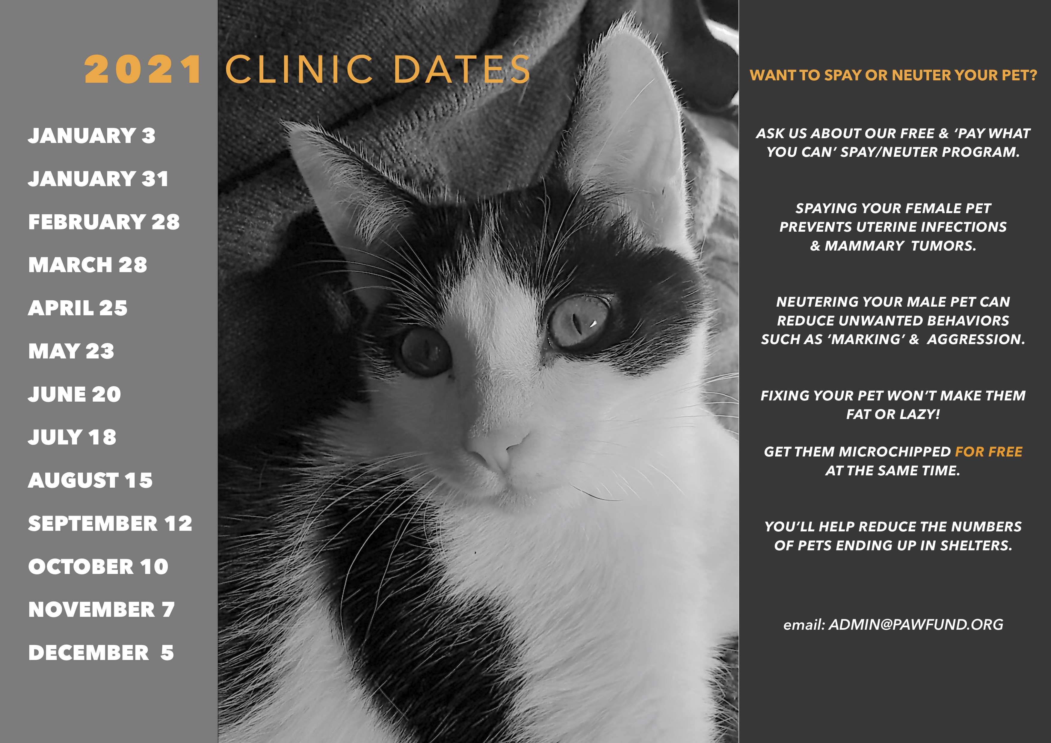 Free Pet Vaccines - Paw Fund