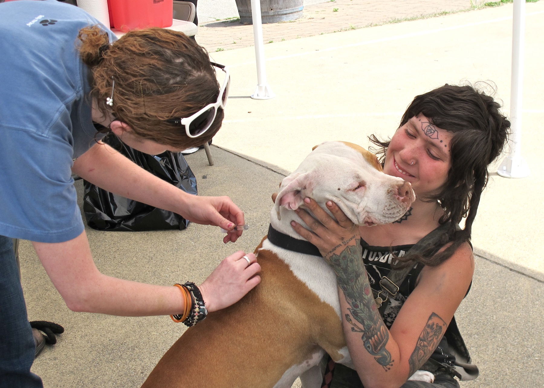 People's Park Pittie