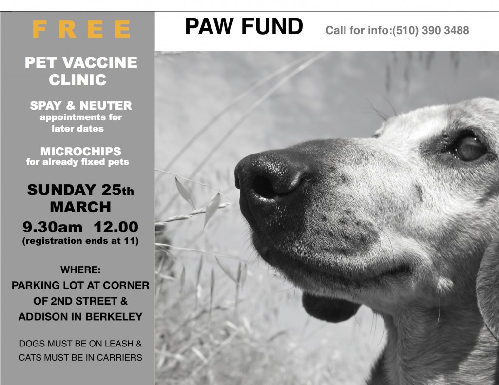 Next Pet Vaccine Clinic