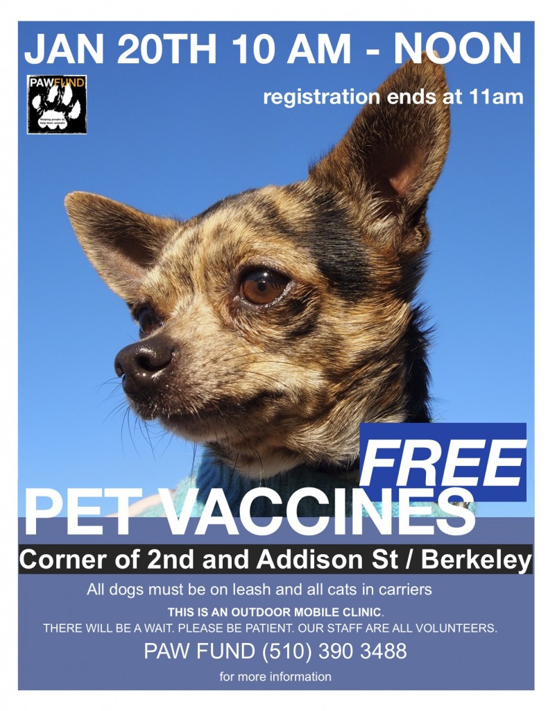JAN.FLYER