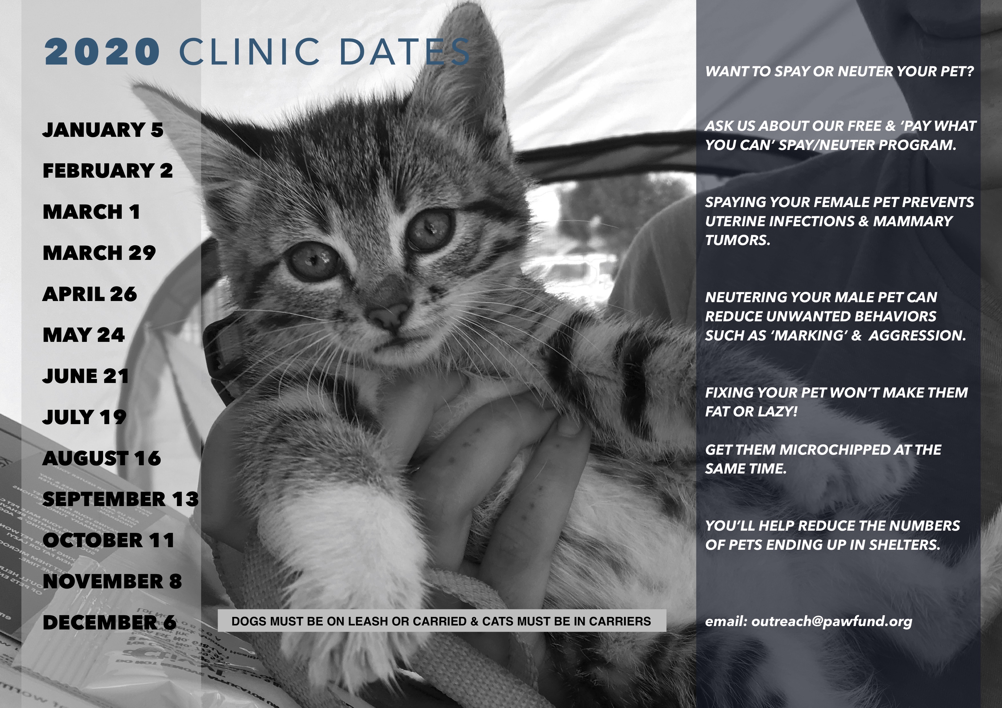 FREE PET VACCINES - Paw Fund